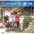 Chick Farm Equipment with Automatic Manure Cleaning System